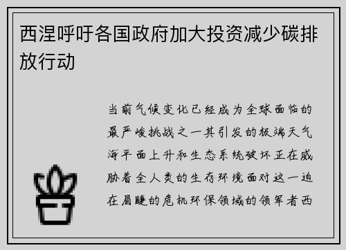 西涅呼吁各国政府加大投资减少碳排放行动